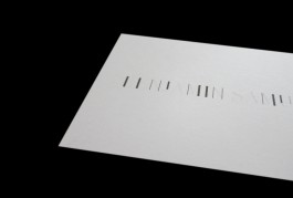 STUDIO DAVID WELBERGEN