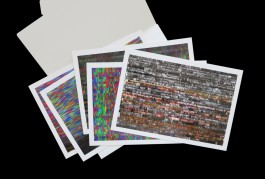 STUDIO DAVID WELBERGEN