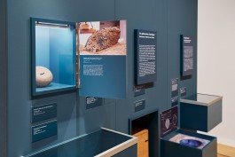 STUDIO DAVID WELBERGEN