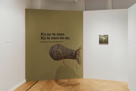 STUDIO DAVID WELBERGEN