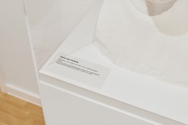 STUDIO DAVID WELBERGEN