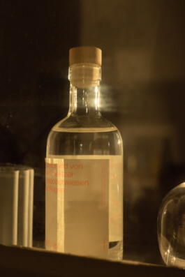 STUDIO DAVID WELBERGEN