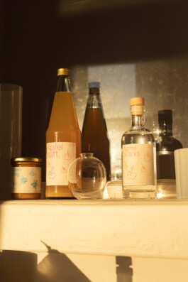 STUDIO DAVID WELBERGEN