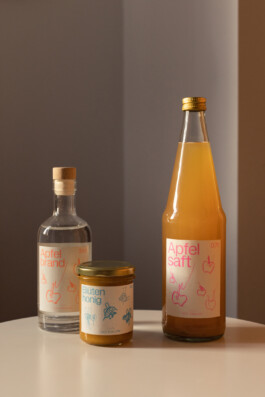 STUDIO DAVID WELBERGEN