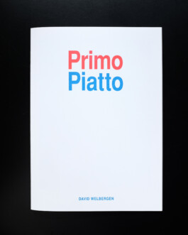 STUDIO DAVID WELBERGEN