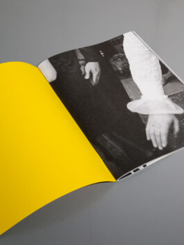 STUDIO DAVID WELBERGEN